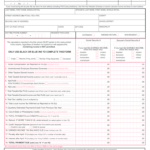 2013 Form PA DCED CLGS 32 1 Fill Online Printable Fillable Blank