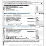 Fillable Form E 2013 Combined Tax Return For Trusts Estates