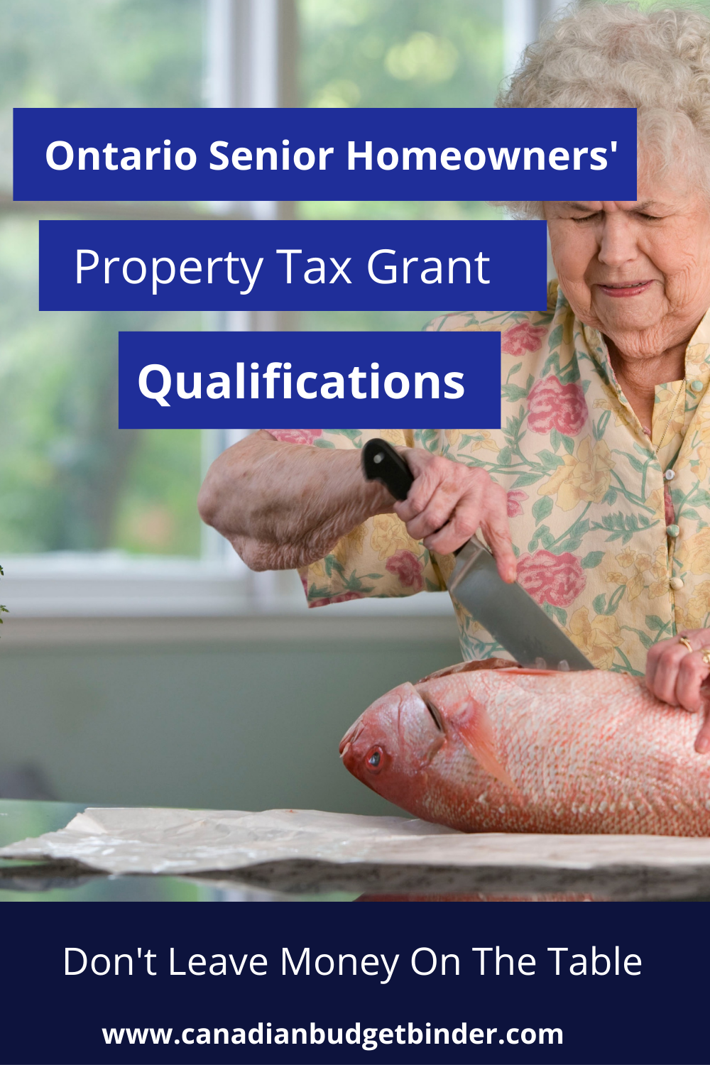 Ontario Senior Homeowners Property Tax Grant Qualifications Canadian