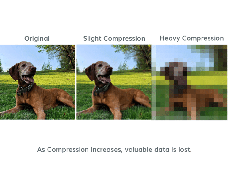 Samson compression example ReaLawState