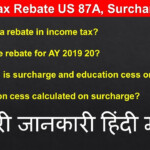 Tax Rebate For Individual Property Tax Rebate Application Printable