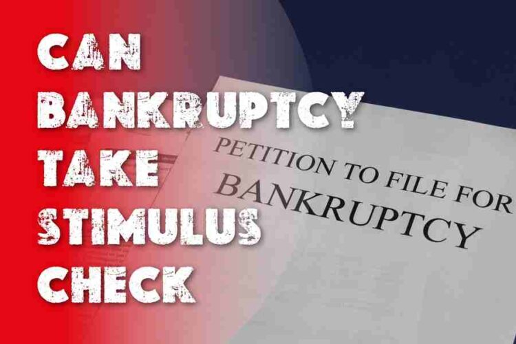 Can Bankruptcy Take Stimulus Check American Judicial System