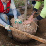 Class Tree Planting Workshop Casey Trees