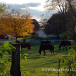 McHenry County IL Horse Property