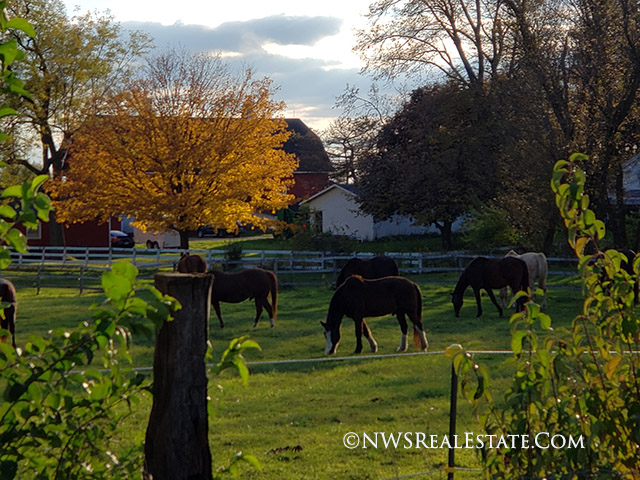 McHenry County IL Horse Property